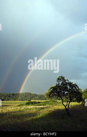 Hellen primäre und sekundäre Regenbogen über Gauja-Tal, Gaujiena, Lettland Stockfoto