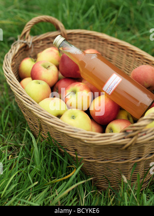 Äpfel im Korb mit Flasche Saft Stockfoto