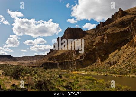 CHAPARRAL Typ Pflanze wachsen in die wilde und malerische OWYHEE RIVER Gorge Ost-OREGON Stockfoto