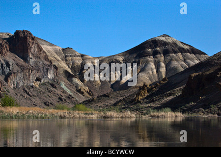 SEDIMENTÄREN Felsen in die wilde und malerische OWYHEE RIVER Schlucht Ost-OREGON Stockfoto