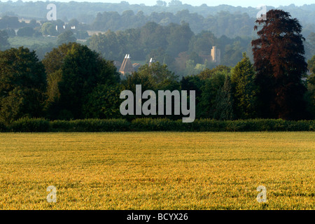 Blick über Felder Oast Häuser und Kirche in Kent, England, Großbritannien Stockfoto