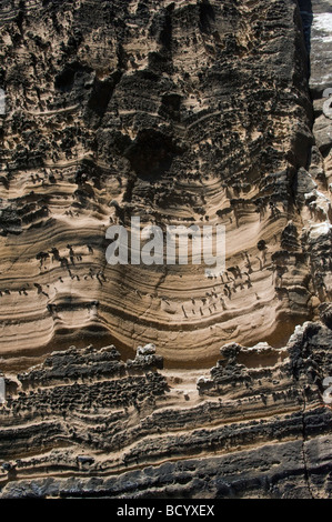 Felswand Punta Vicente Roca Isabela Galapagos Ecuador Pazifik Südamerika Mai Stockfoto