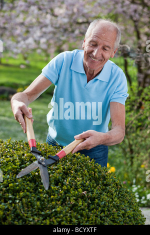 Alter Mann schneiden Hecke Stockfoto