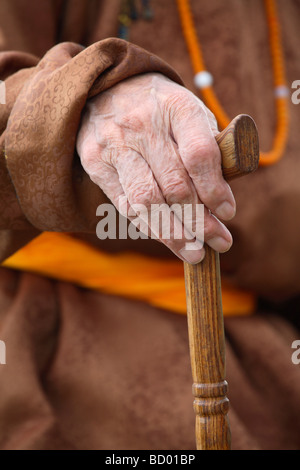 Detail von der Hand, hält einen Spazierstock, Mongolei Stockfoto