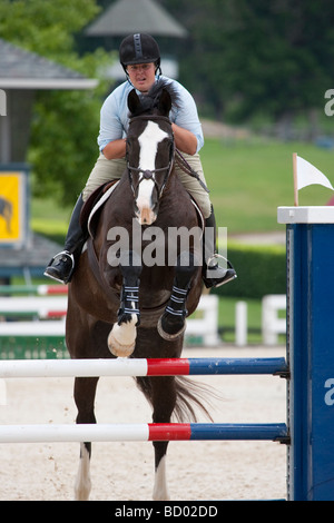 Ein Pferd und Reiter einen Zaun springen, während ein Reitturnier. Stockfoto