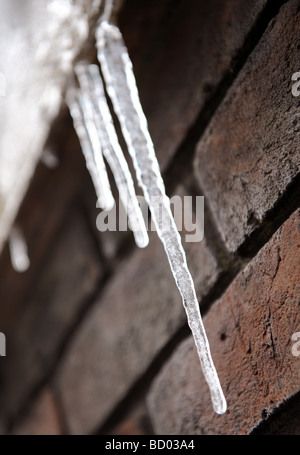 Eiszapfen hängen von einem Dach. Stockfoto