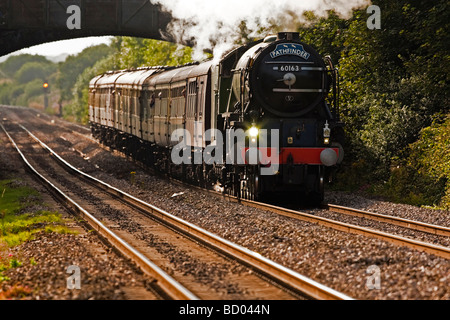 Tornado-Nr. 60163, Peppercorn A1 Pacific. Stockfoto