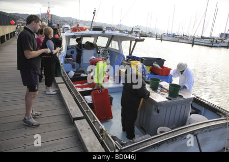 Fischer, filetieren von Fisch auf Rückseite Fischerboot verkaufsfertig, Wellington, Neuseeland Stockfoto