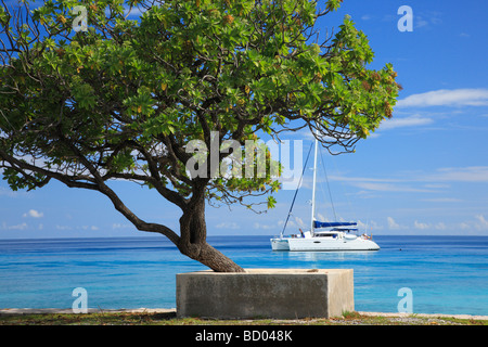 Rangiroa, Tuamotu-Archipel, Französisch-Polynesien Stockfoto