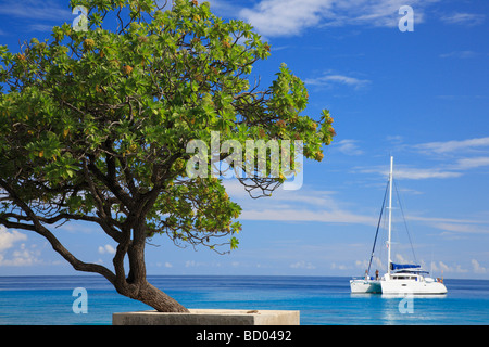 Rangiroa, Tuamotu-Archipel, Französisch-Polynesien Stockfoto