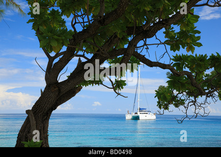 Rangiroa, Tuamotu-Archipel, Französisch-Polynesien Stockfoto