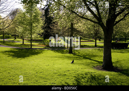 Volkspark, Pery Square, ist der wichtigsten Park in der Stadt Limerick, County Limerick Irland Stockfoto