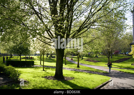 Volkspark, Pery Square, ist der wichtigsten Park in der Stadt Limerick, County Limerick Irland Stockfoto