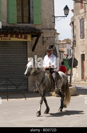 Camargue-Wächter auf ihren weißen Pferden Herde der schwarzen Stiere durch die Straßen auf dem Weg zu der Stierkampfarena Stockfoto