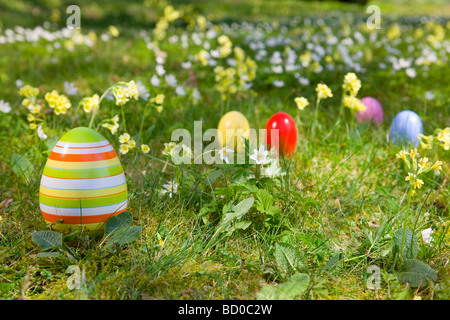 Ostereier, Blumen im Frühling Gras Stockfoto