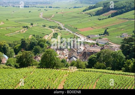 Weinberge in Pernand-Vergelesses-Cote d ' or Burgund Frankreich Stockfoto