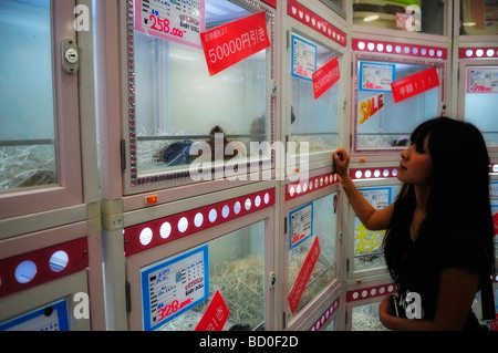 Japanische Shopper in einer Zoohandlung mit Welpen zu verkaufen, Shinjuku, Tokio Stockfoto