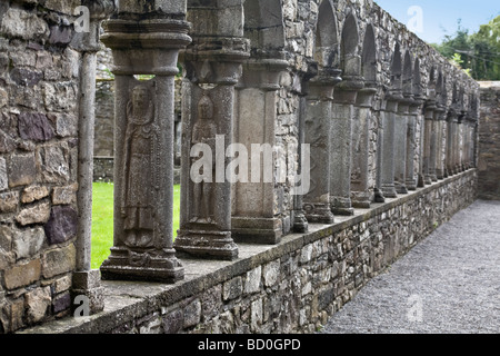 Jerpoint Abbey, Thomastown, Grafschaft Kilkenny, Irland Stockfoto