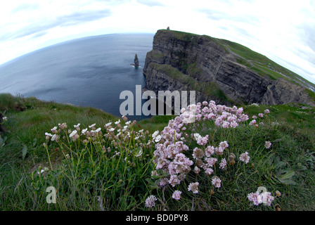 Blick auf den berühmten Cliffs of Moher in Co. Clare Ireland Stockfoto