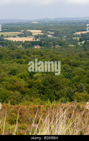 Eine Ansicht Nord über Ashdown Forest East Sussex von Broadstone in Richtung North Downs Stockfoto