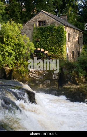 Mühle am Cenarth verliebt sich in Cenarth, Carmarthenshire. Stockfoto