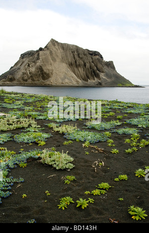 Parasitäre Schlackenkegel an der Flanke des Alaid Vulkan, Atlasova Insel, Kurilen-Inseln, Russland Stockfoto