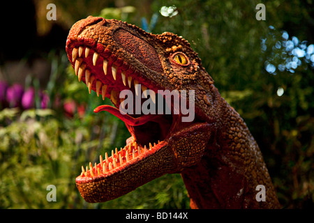 Dinosaurier raptor Stockfoto