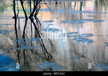 Eis brechen sich im Frühjahr Merced River Yosemite Nationalpark, Kalifornien Stockfoto