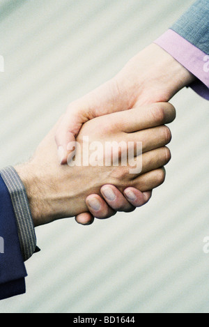 Zuversichtlich Handshake zwischen Profis Stockfoto