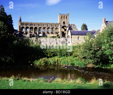 Blick auf Jedburgh Abbey - gegründet im Jahr 1138 von David I Stockfoto