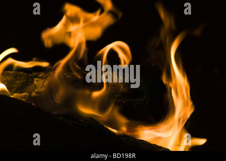 Feuer, close-up Stockfoto