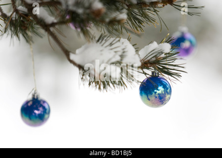 Christbaumschmuck von Ast hängen mit Schnee bestäubt Stockfoto