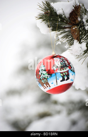 Bunten Weihnachtsschmuck von Schnee bedeckten Zweig hängen Stockfoto