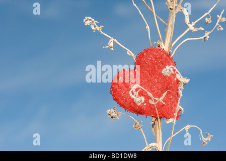 Ornament auf getrocknete Pflanze Stiel in Herzform Stockfoto