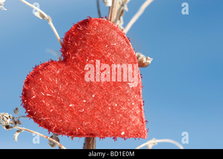 Ornament auf getrocknete Pflanze Stiel in Herzform Stockfoto