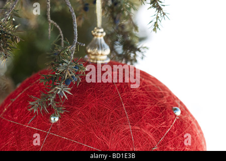Rote Christbaumkugel hängen von immergrünen Zweig, Nahaufnahme Stockfoto