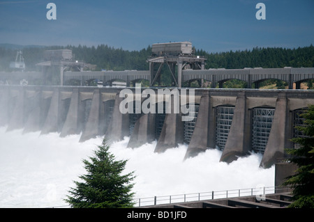 Wasser fließt aus der Bonneville Dam Columbia River Gorge Scenic Area-Oregon Stockfoto