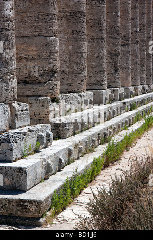 Heben die Bosse auf den Stufen des Tempels von Segesta. Stockfoto