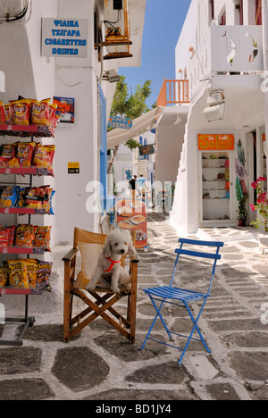 Eine schöne Aussicht zu einer engen, weiß getünchten Einkaufsstraße in der alten Stadt Naoussa. Naoussa, Paros Insel, Kykladen, Griechenland, E Stockfoto