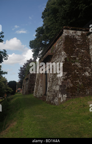 Exeter Katakomben Alter Friedhof Devon UK Stockfoto