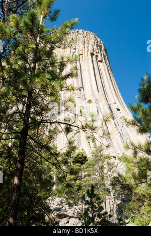 Ansicht des Devils Tower in Wyoming Stockfoto