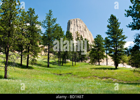 Ansicht des Devils Tower in Wyoming Stockfoto