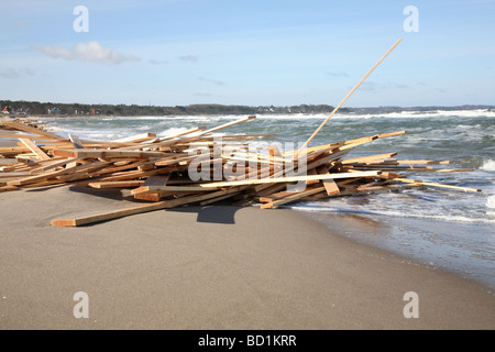 Holzterrasse Ladung über Bord gewaschen von einer Karibischen cargo Schiff in das Kattegat in Dänemark und Angeschwemmt auf North Sealand Küste bei Hornbaek. Stockfoto