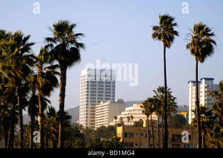 Santa Monica Skyline und Palmen Bäume Stockfoto