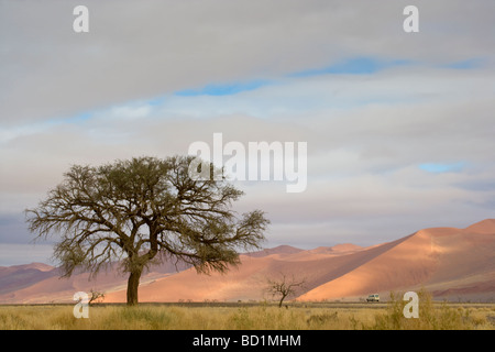 Sonnenaufgang in den Dünen von Sossusvlei in der Wüste Namib Namibia Afrika Stockfoto