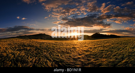 Hegau-Landschaft, Mt Hohenstoffel und Mt Maegdeberg, Landkreis Konstanz, Baden-Württemberg, Deutschland, Europa Stockfoto