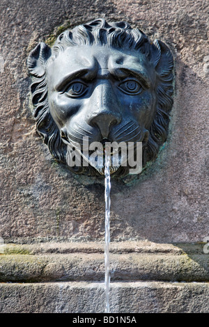 Löwenkopf, Dürer-Pirckheimer-Brunnen, Brunnen der Freundschaft, Max Platz, Altstadt, Nürnberg, Mittelfranken Stockfoto