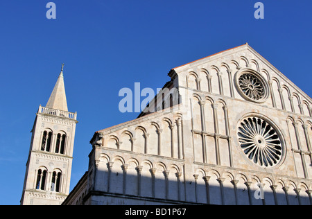 Glockenturm Campanile und frontale Fassade der romanischen Kathedrale von St. Anastasia Katedrala Sv Sto Ije in Zadar Dalmatien Kroatien Stockfoto
