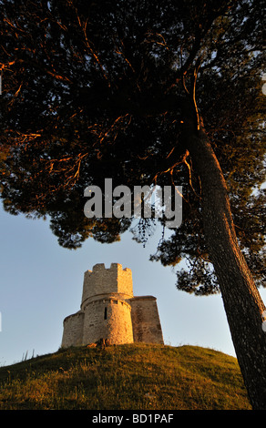 Baum und romanische St. Nicolas Nicola Kirche befindet sich auf irden Hügel in Bereichen der Prahulje in der Nähe von Nin in Dalmatien Kroatien Stockfoto