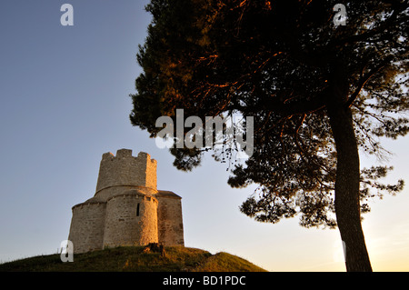 Baum und romanische St. Nicolas Nicola Kirche befindet sich auf irden Hügel in Bereichen der Prahulje in der Nähe von Nin in Dalmatien Kroatien Stockfoto